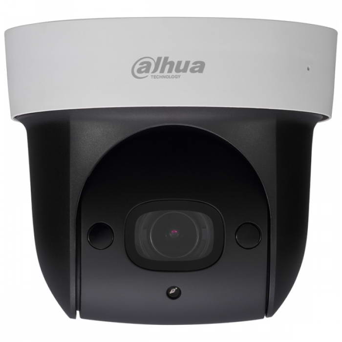 Поворотные IP Видеокамеры SD29204S-GN